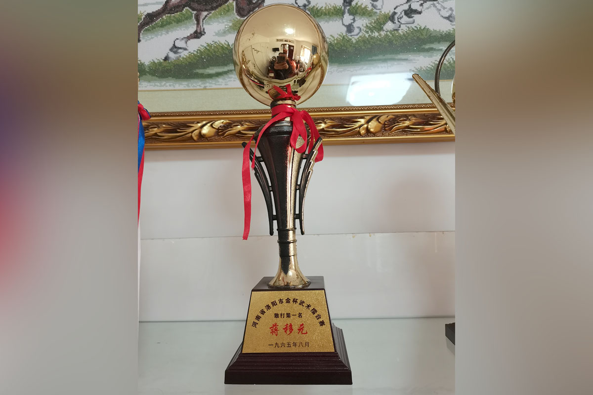 河南省洛陽市金杯武術(shù)擂臺賽散打第一名蔣移元