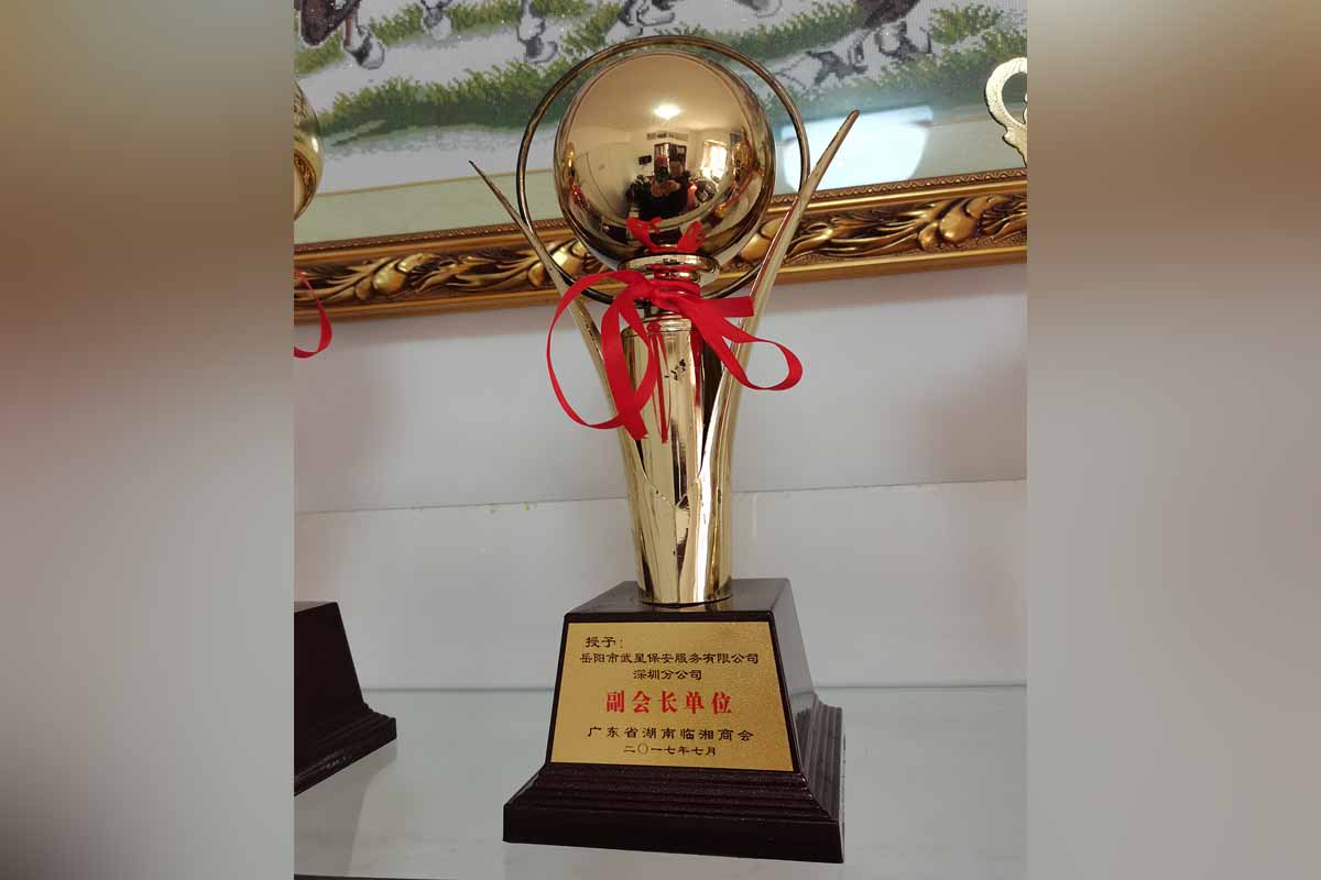 廣東省湖南臨湘商會副會長單位